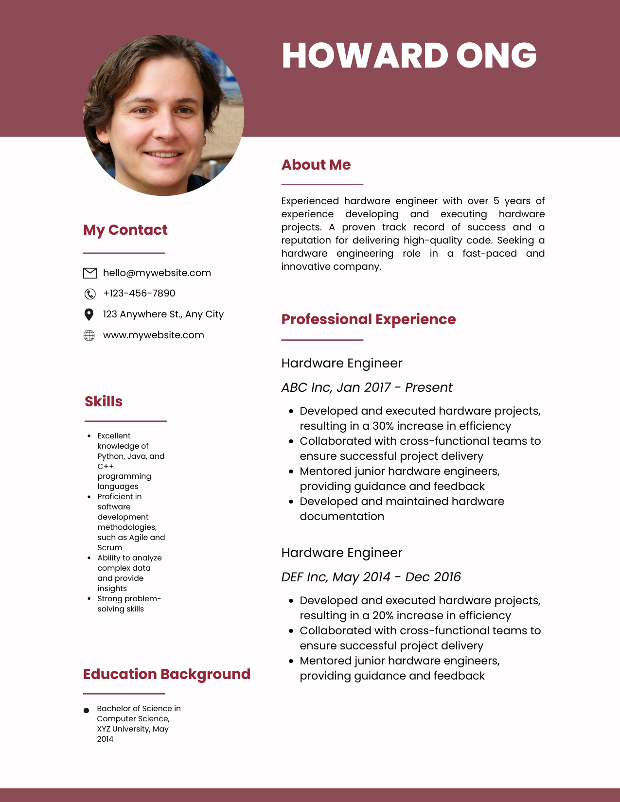 Resume Examples 2024