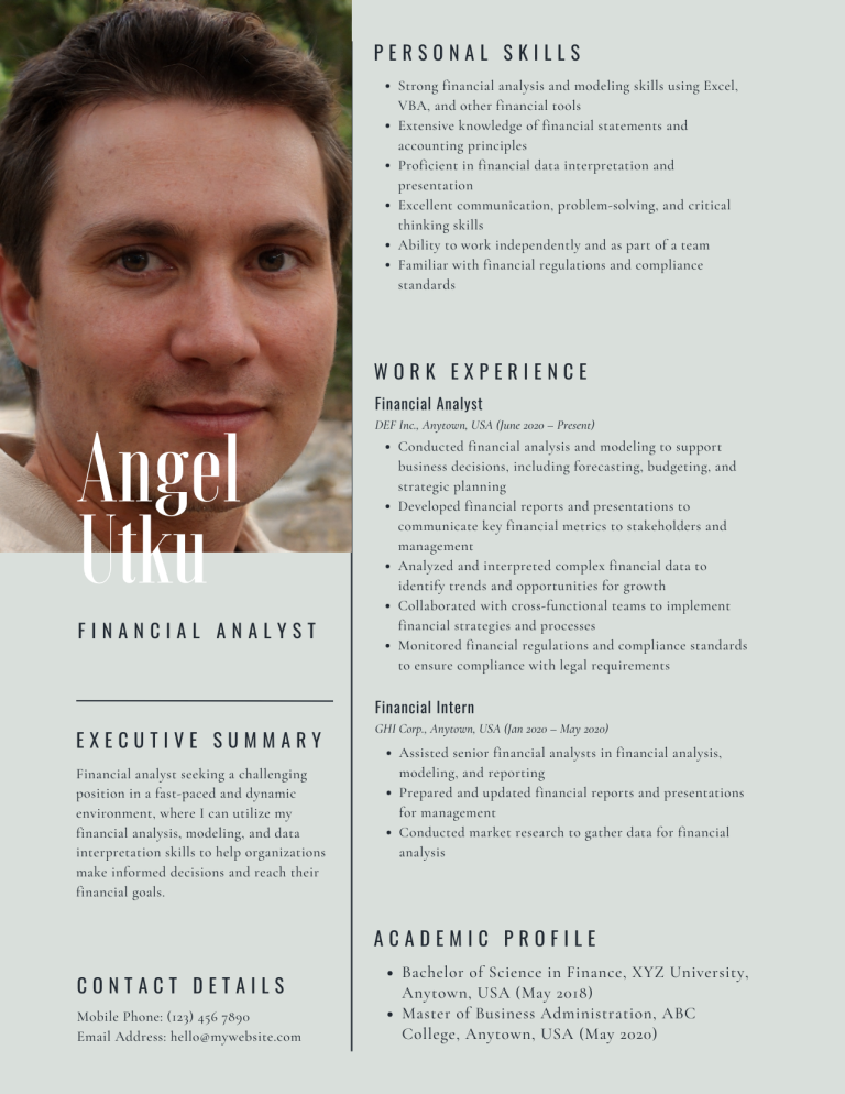 financial analyst resume template