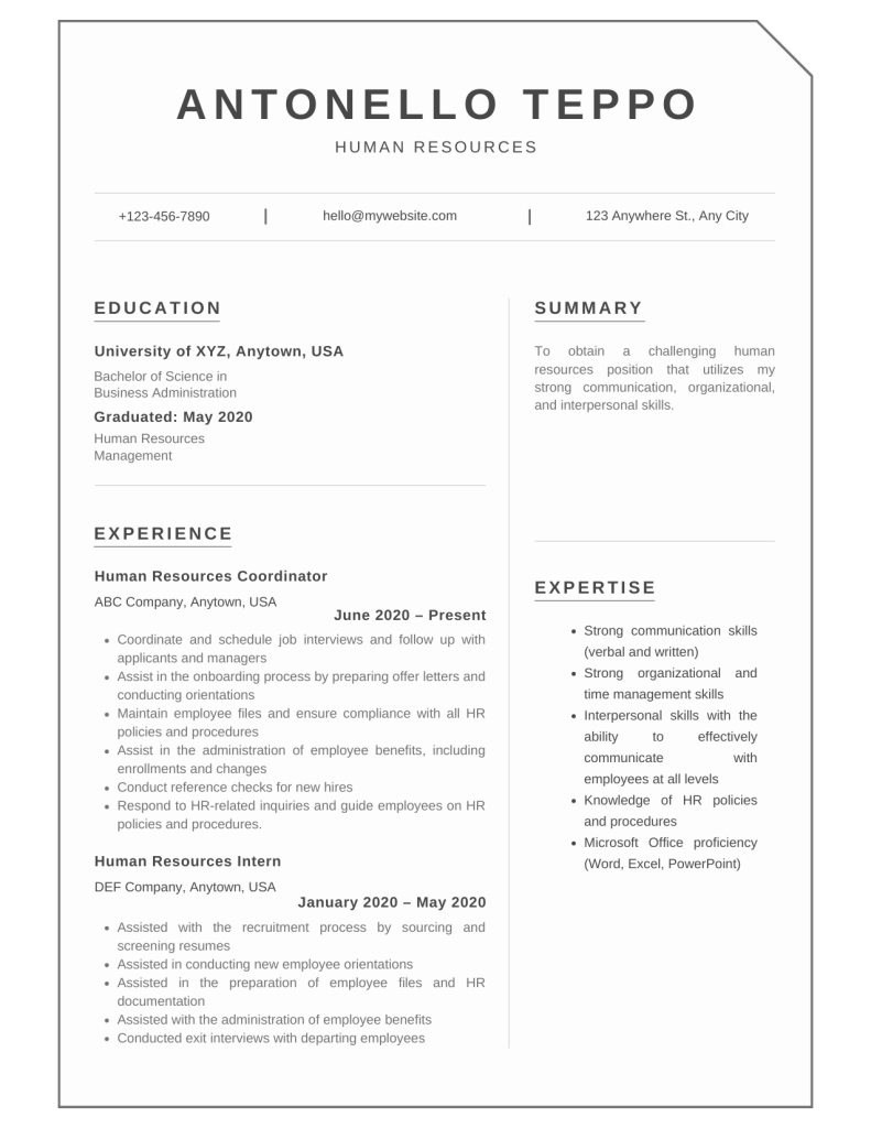 Professional Resume Templates