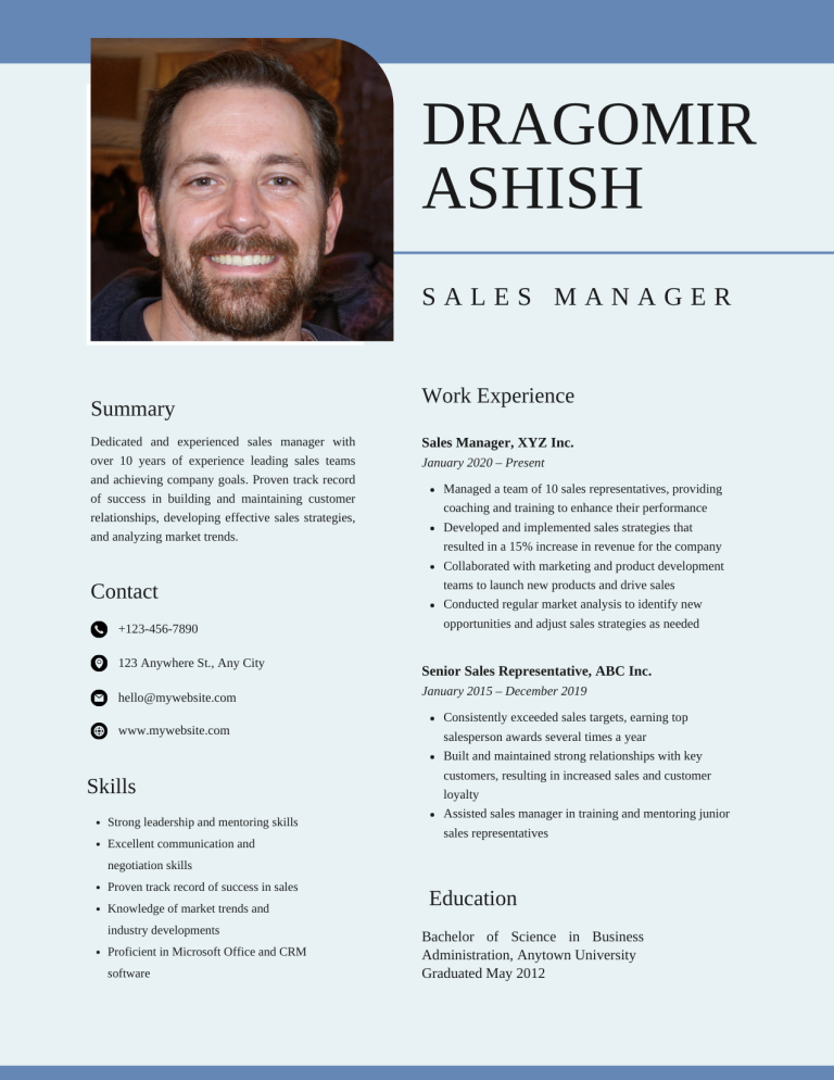 sales manager resume example
